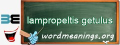 WordMeaning blackboard for lampropeltis getulus